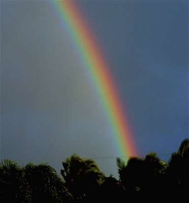 rainbow8310.jpg
